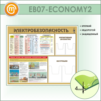    4   (EB-07-ECONOMY2)